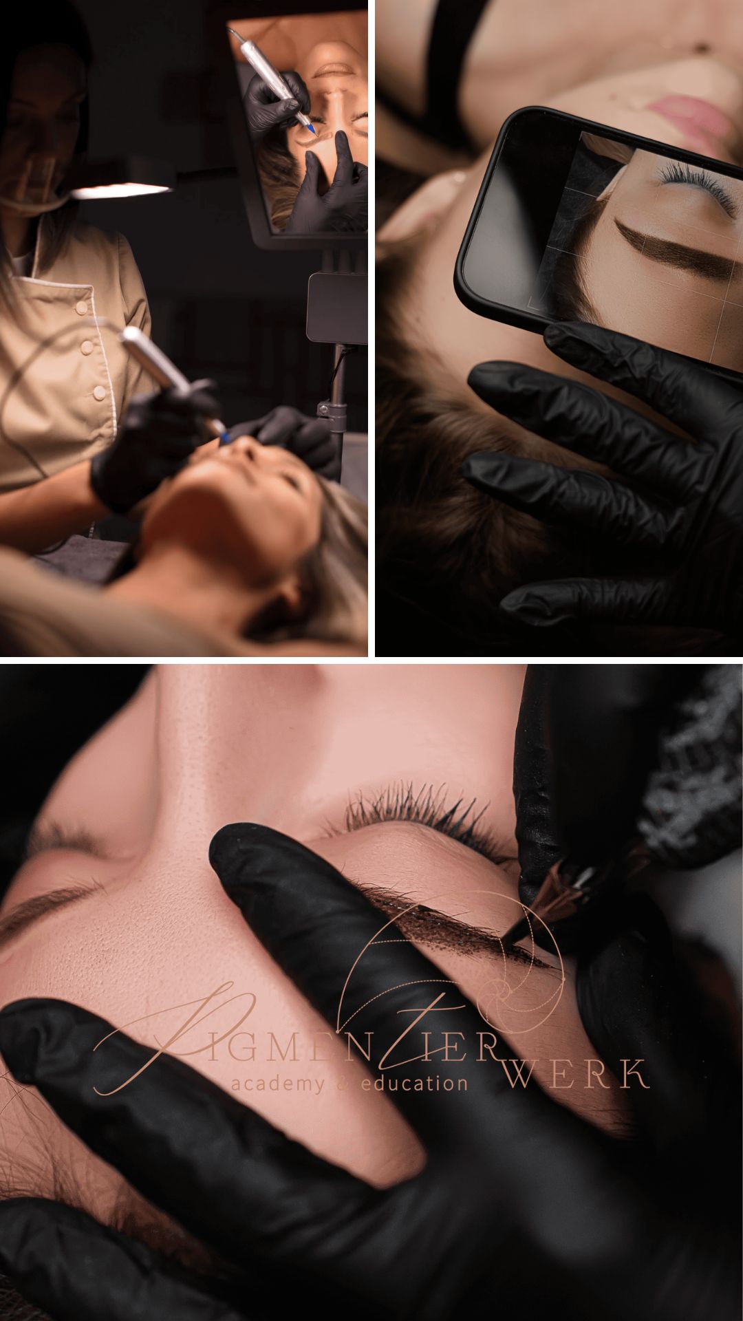 LEHR- & MODULSTRUKTUR - Pigmentierwerk academy